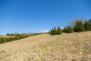 S38A0938.jpg