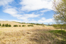 S38A0953.jpg