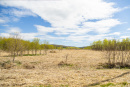 S38A0955.jpg