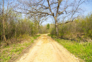 S38A0968.jpg