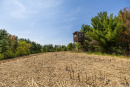 S38A1145.jpg