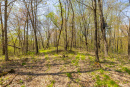 S38A1159_1.jpg