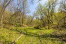 S38A1165.jpg