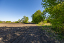 S38A1276.jpg