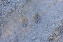 S38A1286.jpg