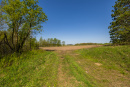 S38A1365_1.jpg