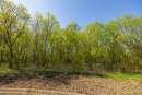 S38A1366_1.jpg