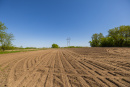 S38A1367_1.jpg