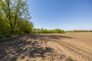 S38A1369_1.jpg