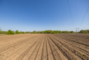 S38A1372_1.jpg