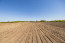 S38A1380_1.jpg