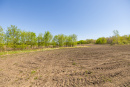 S38A1388_1.jpg