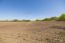 S38A1389_1.jpg