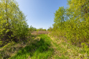 S38A1391_1.jpg