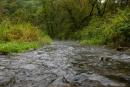 S38A1527.jpg
