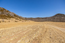 S38A5954_1.jpg
