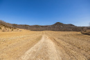 S38A5955_1.jpg