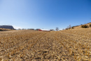 S38A5957.jpg