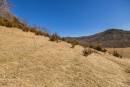 S38A5960.jpg