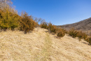 S38A5965.jpg
