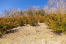 S38A5966_1.jpg