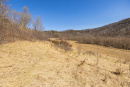 S38A5969_1.jpg