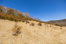 S38A5975_1.jpg