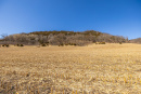 S38A5976_1.jpg