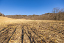 S38A5977_1.jpg