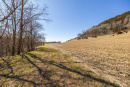 S38A5979_1.jpg