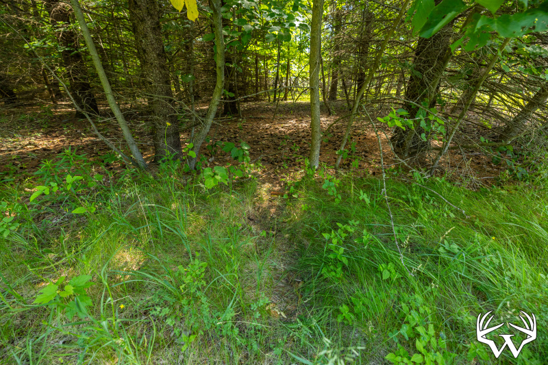 S38A8077.jpg