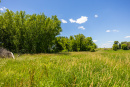 S38A8092.jpg