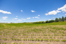 S38A8095.jpg