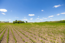 S38A8096.jpg