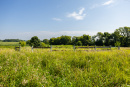 S38A8756.jpg