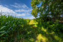 S38A8763.jpg