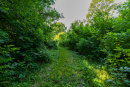 S38A8766.jpg