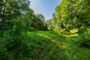 S38A8767.jpg