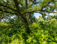 S38A8769.jpg