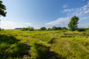 S38A8772.jpg