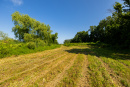 S38A8775.jpg