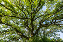 S38A8781.jpg
