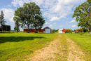 S38A8787_1.jpg