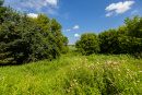 S38A8790_1.jpg