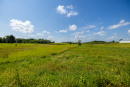S38A8792_1.jpg