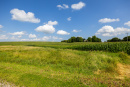 S38A8794_1.jpg