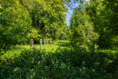 S38A8801.jpg