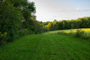 S38A9980.jpg