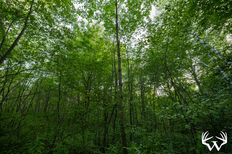 S38A9985.jpg