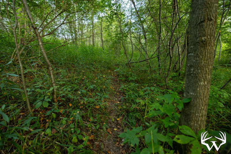 S38A9988.jpg